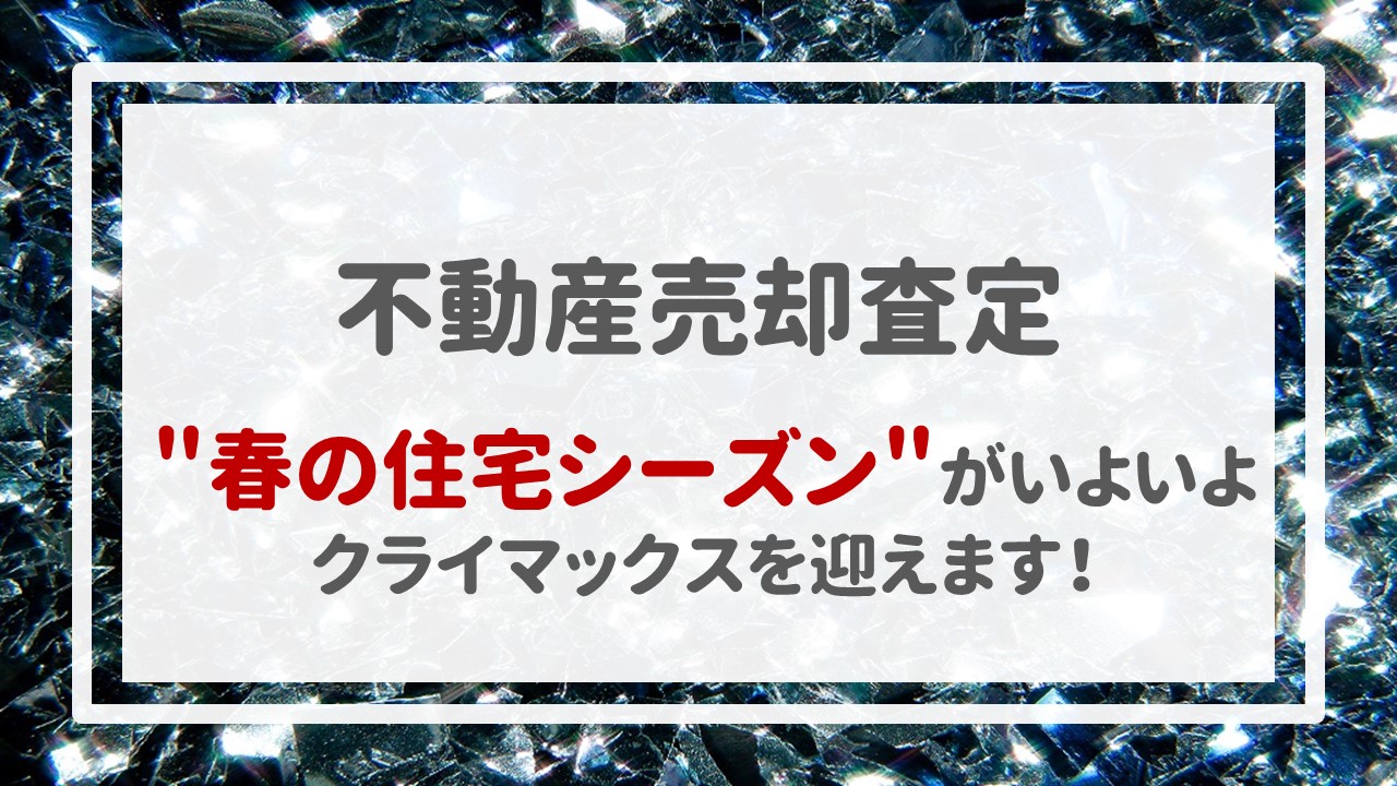 ＂春の住宅シーズン＂がいよいよクライマックスを迎えます！